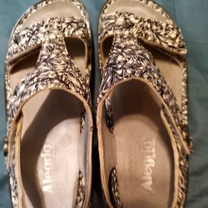 Alergia shoes. They are black and white.